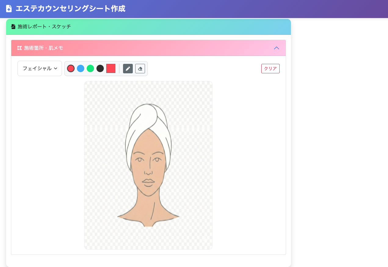 エステカウンセリングシート2